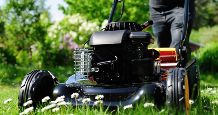 Comprehensive garden maintenance
